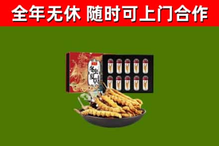 莒南回收冬虫夏草价格