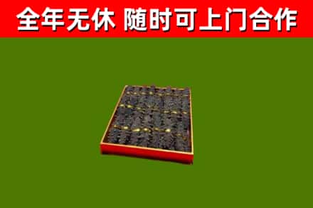 莒南回收海参